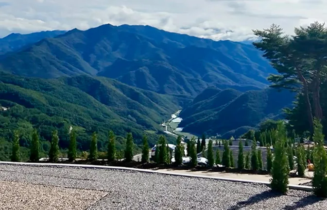 별 사이트