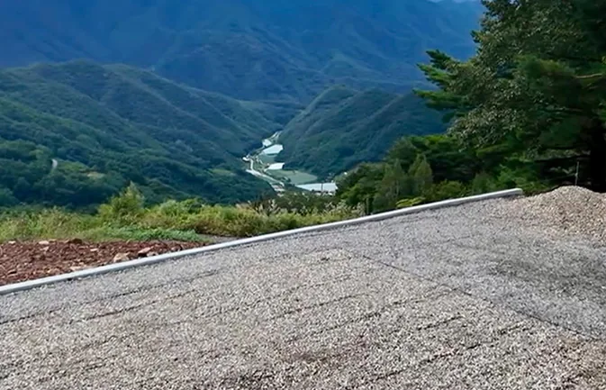 숲 사이트