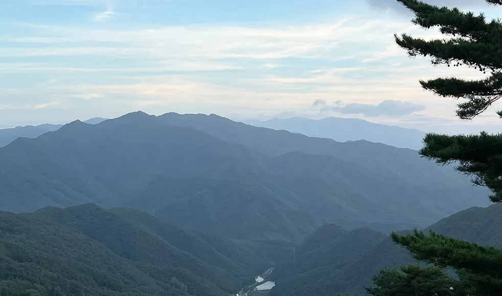 쉼오지캠프 전경 5