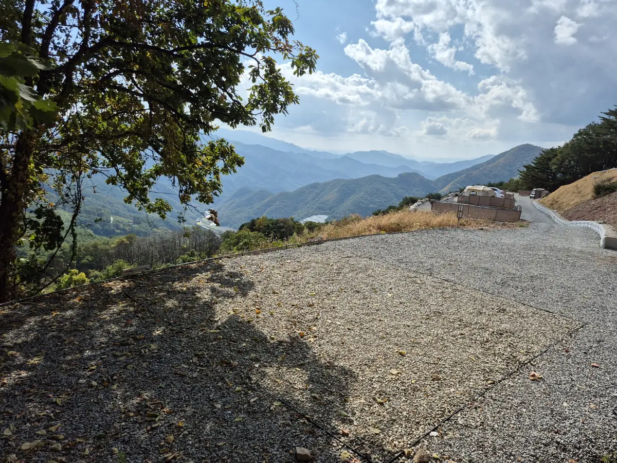 결 사이트